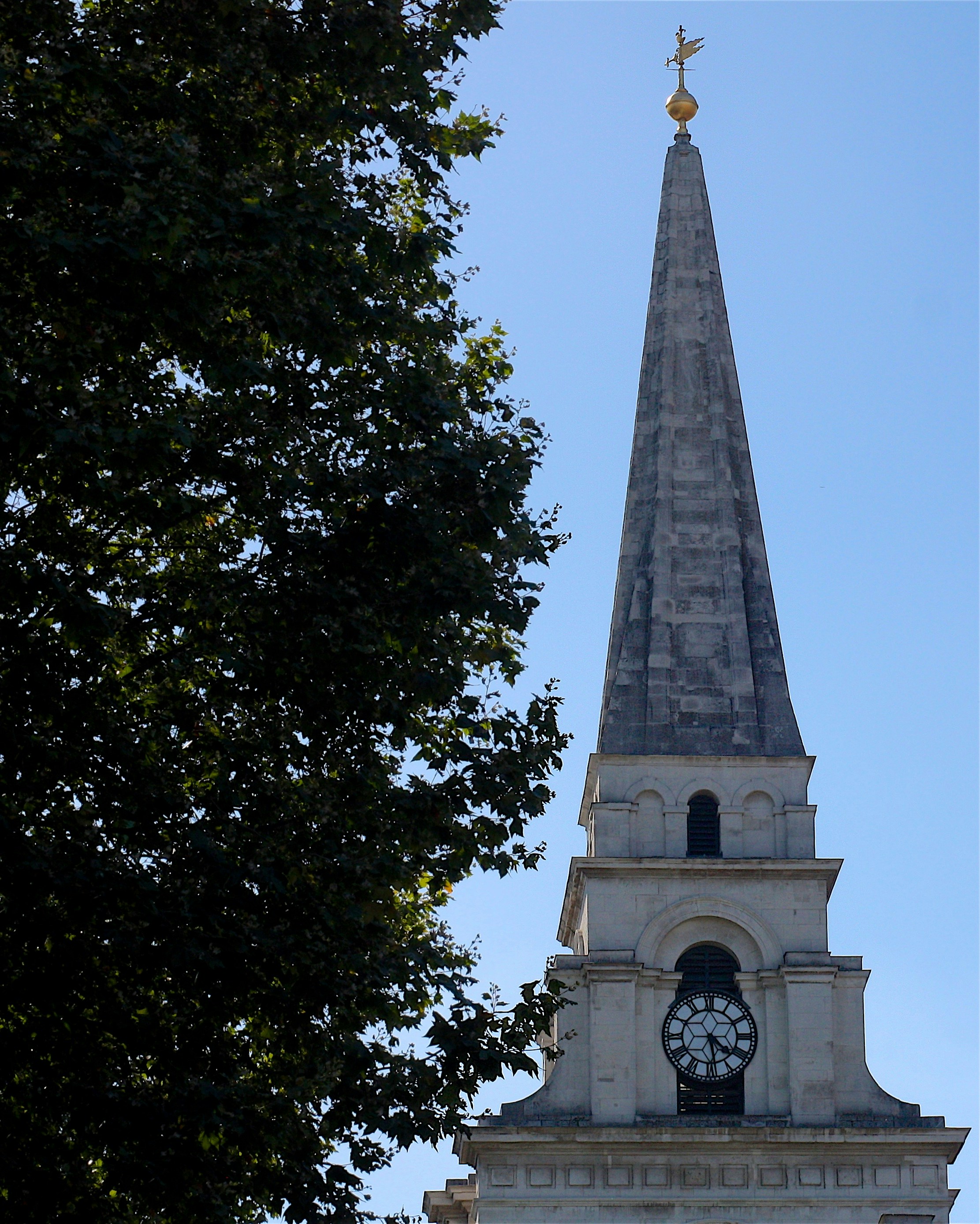 Free Unsplash photo from Jessica Dixon