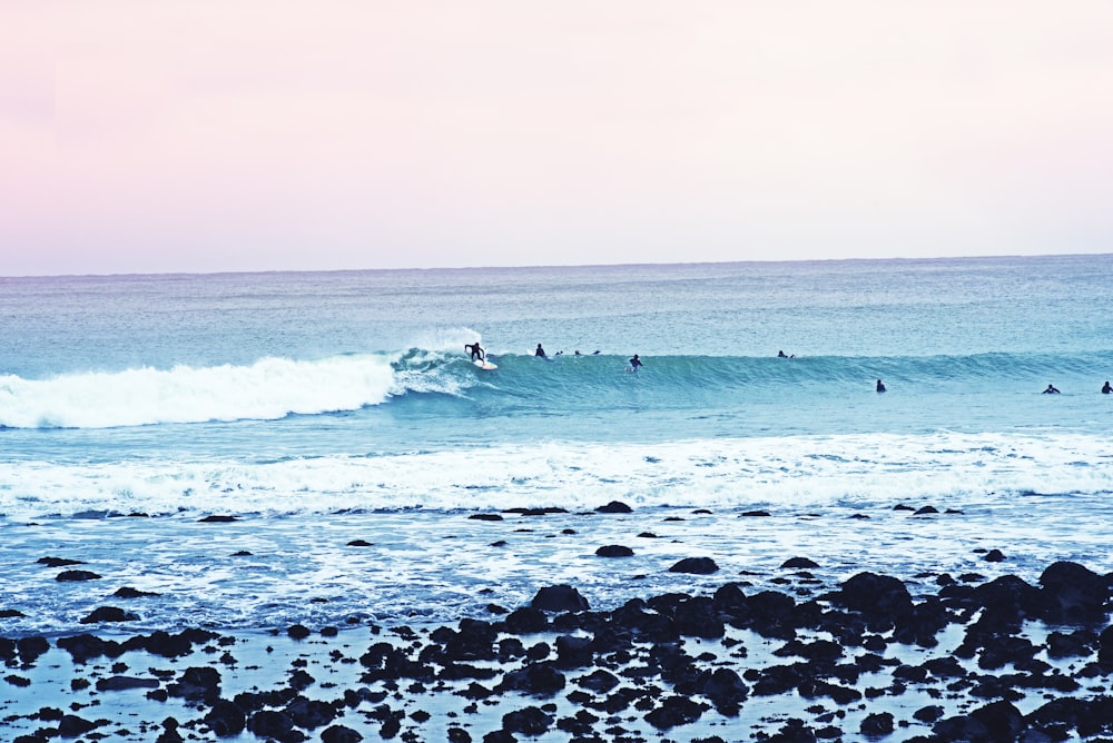 people surfboarding during daytime