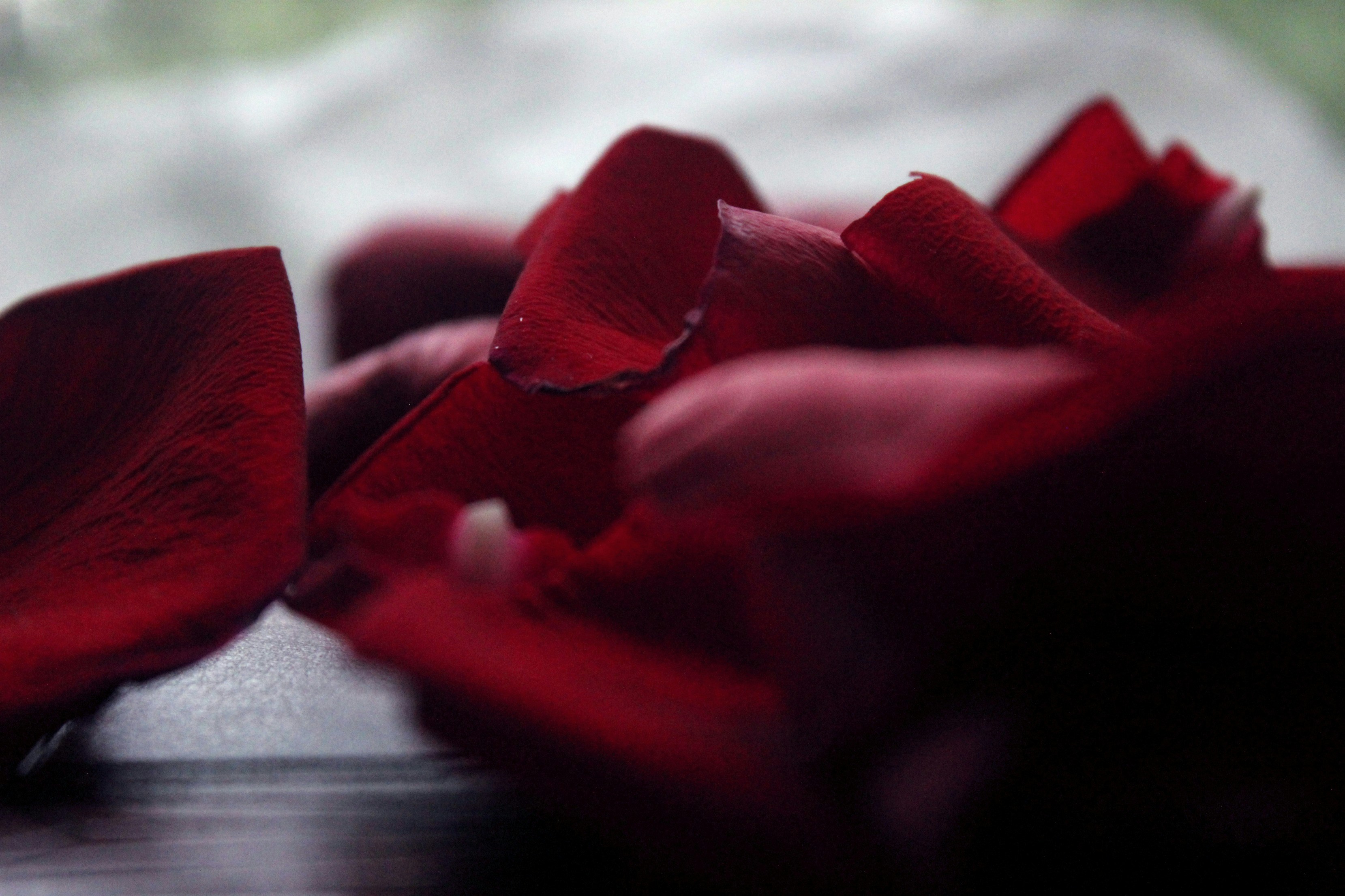 Free Unsplash photo from Lindy Baker