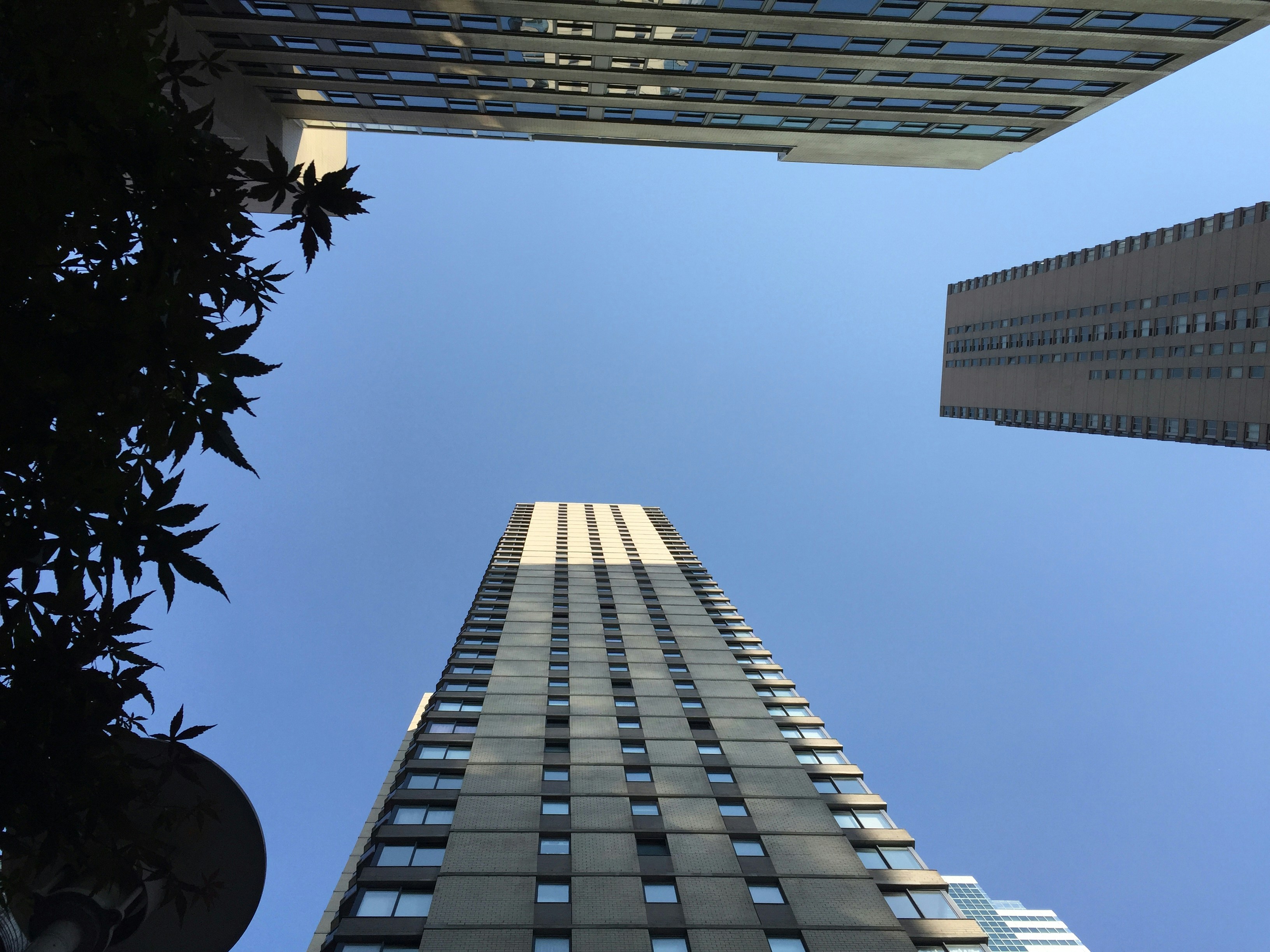 Free Unsplash photo from Andrey Novikov