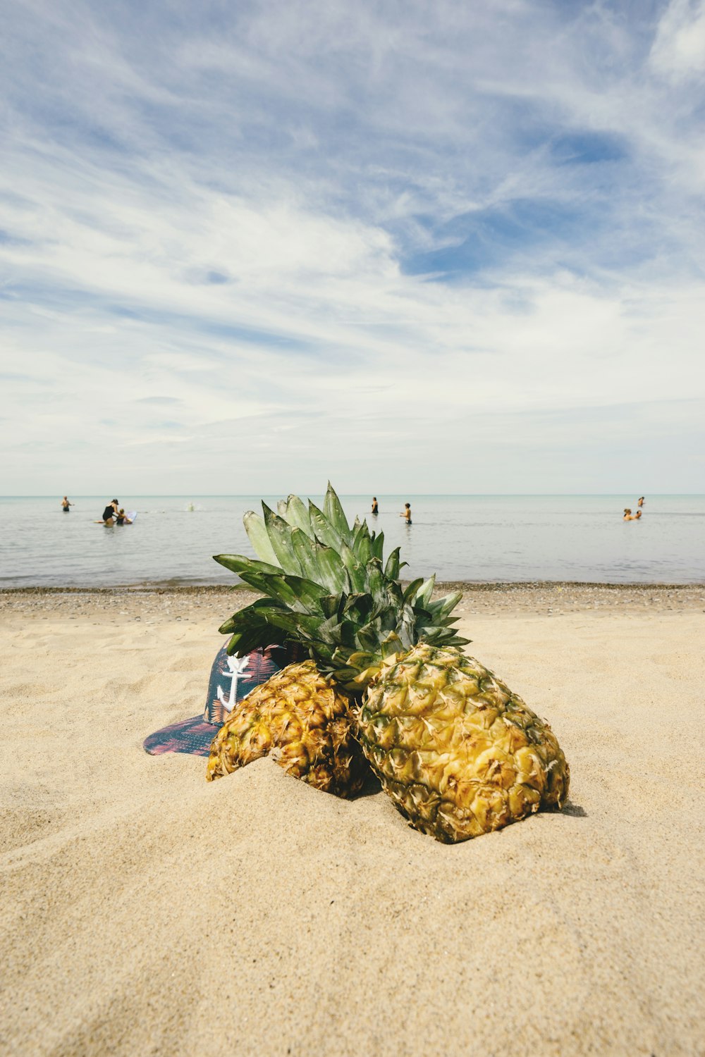 Dos piñas a la orilla del mar