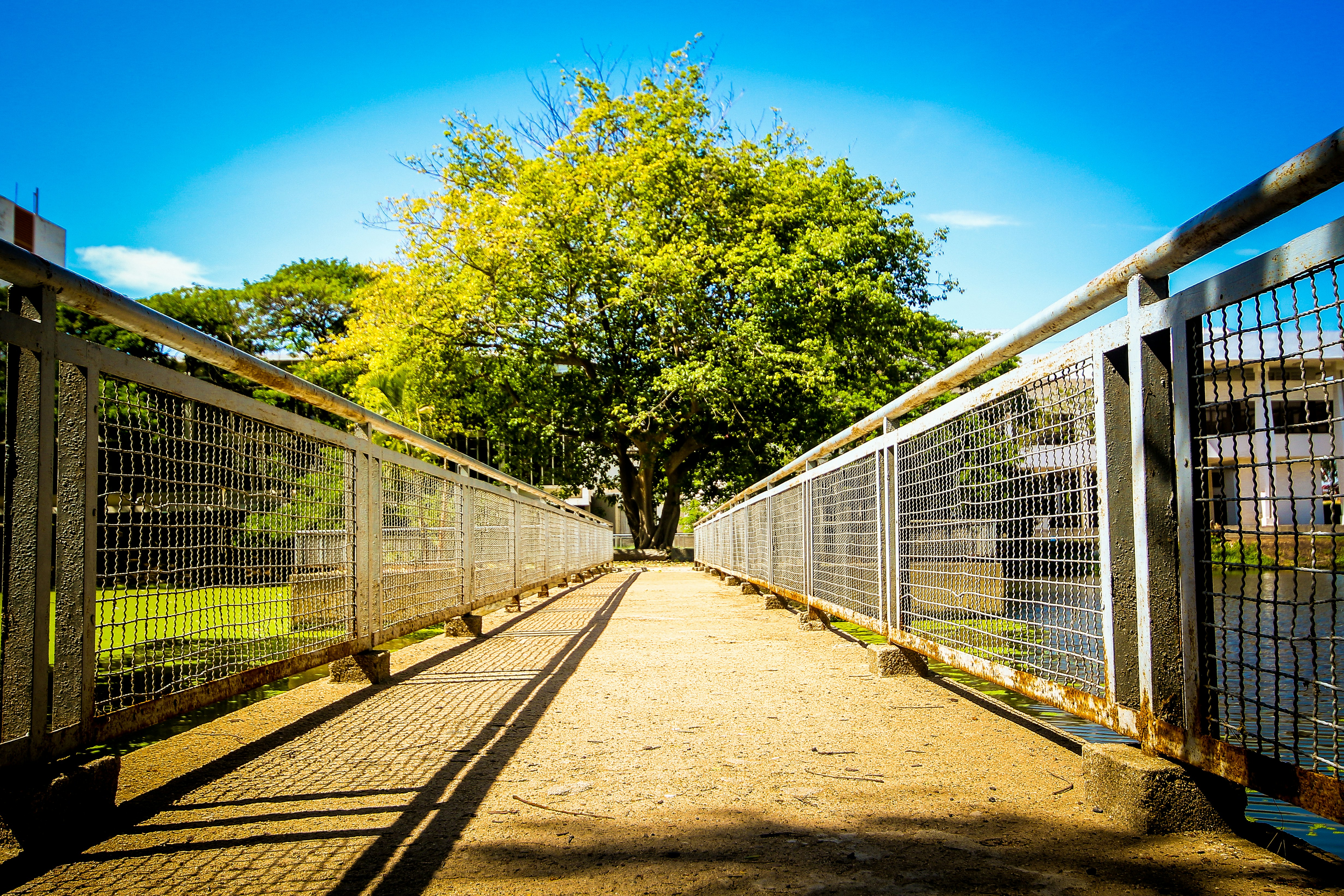 Free Unsplash photo from Pheara Phao