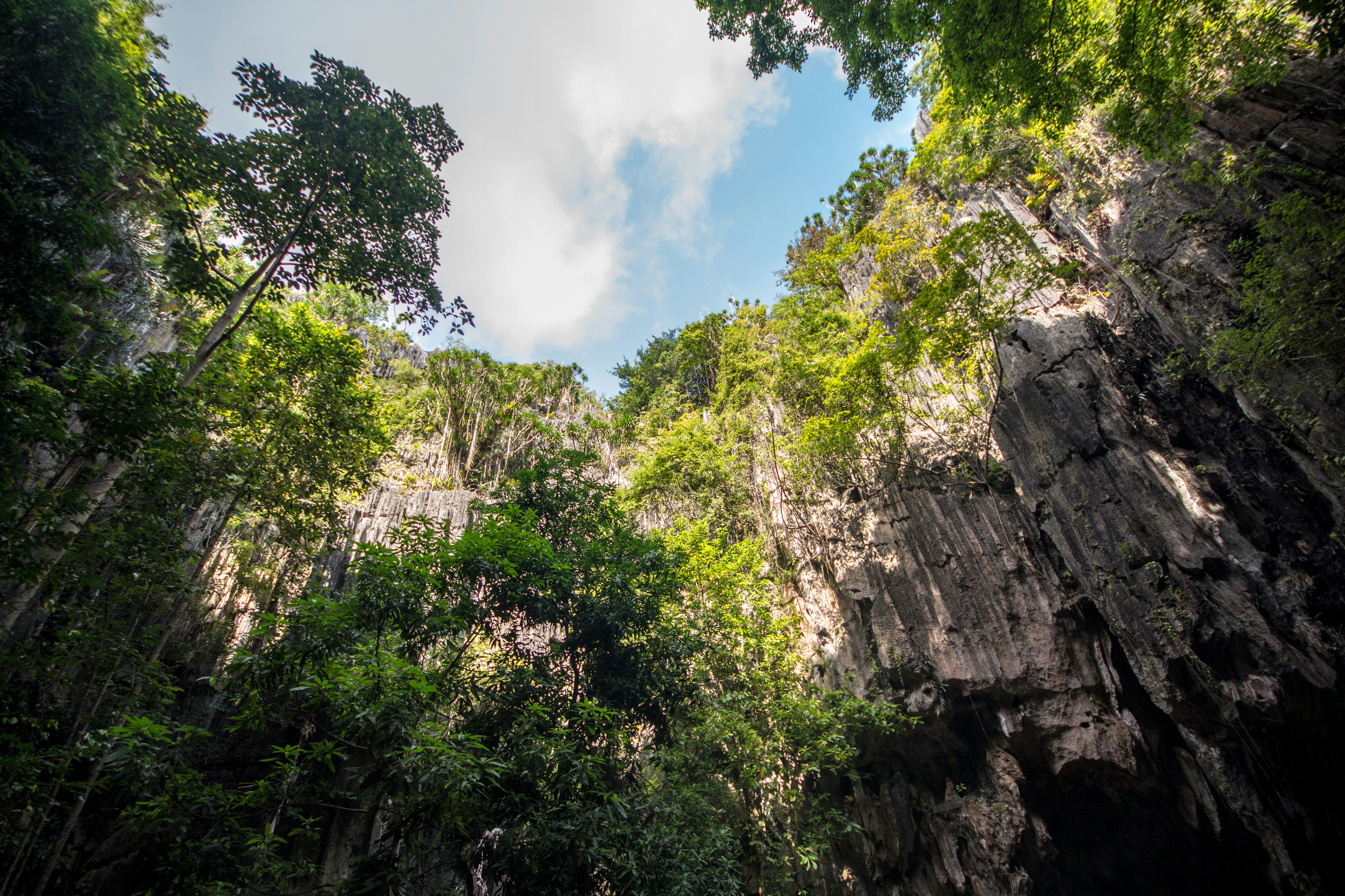 Free Unsplash photo from Pheara Phao