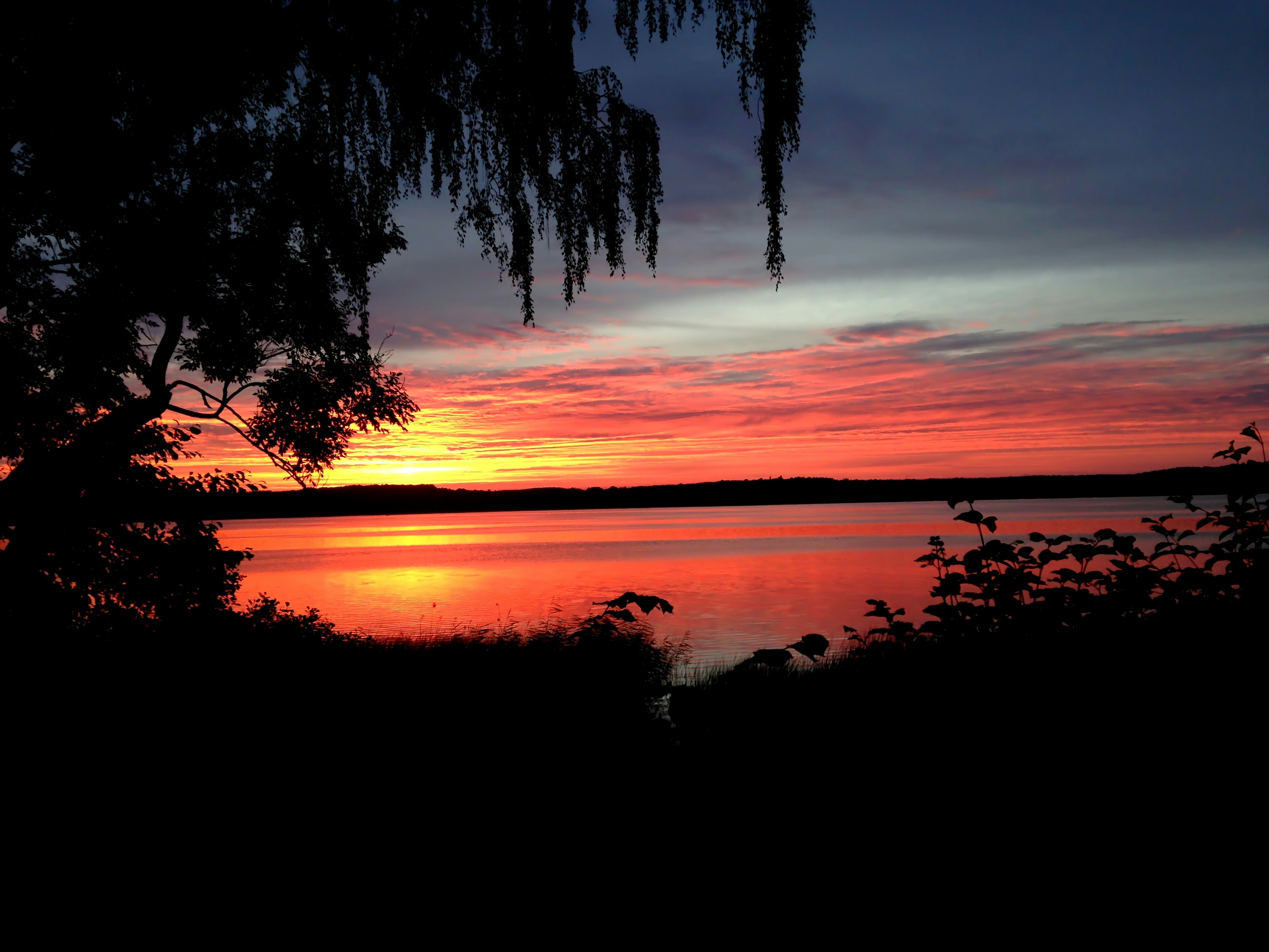 Free Unsplash photo from Sascha Lichtenstein