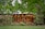 A cozy wooden garden house adorned with colorful flowering plants and string lights, surrounded by lush green trees and bushes. The setting creates a serene and welcoming outdoor space, with garden furniture indicating a place to relax and enjoy nature.