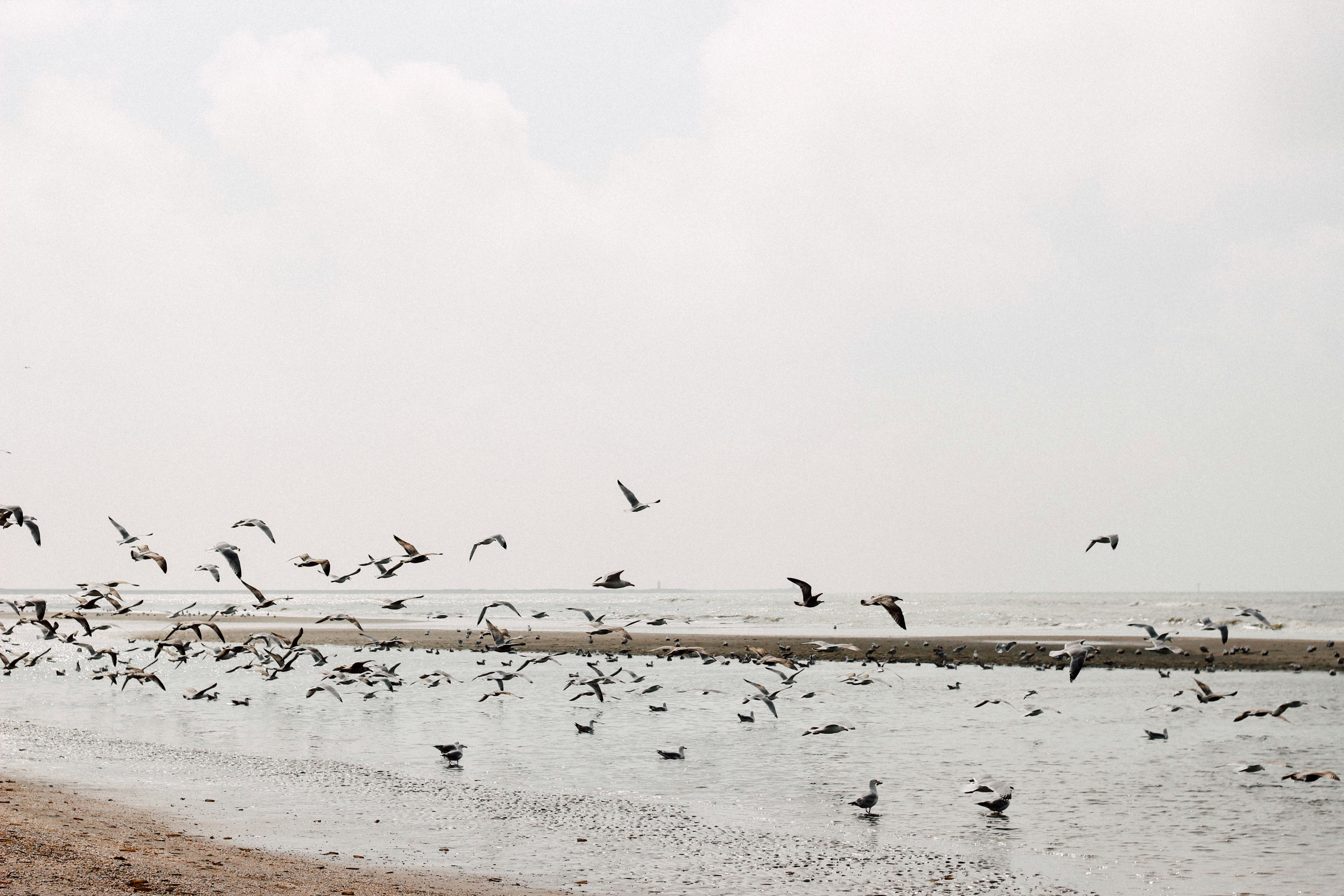 Free Unsplash photo from Angelina Catharina