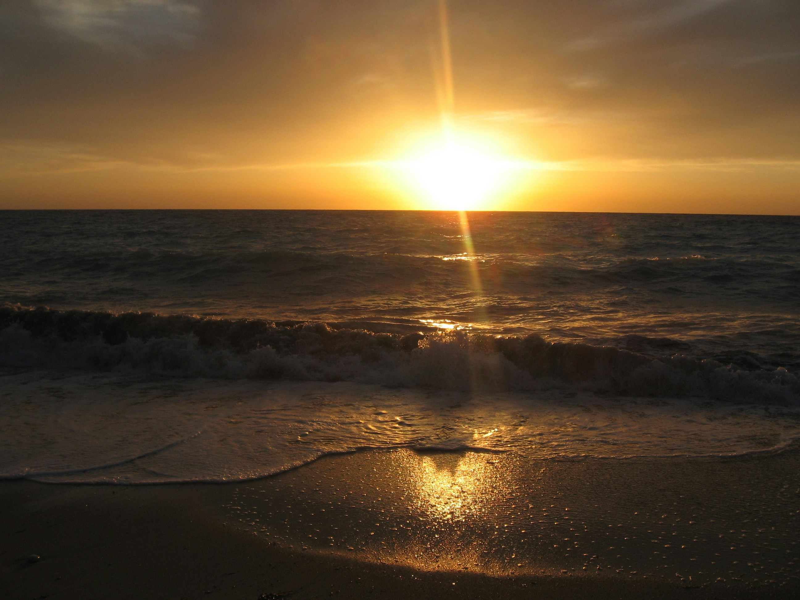 Free Unsplash photo from Nemanja Lekovic