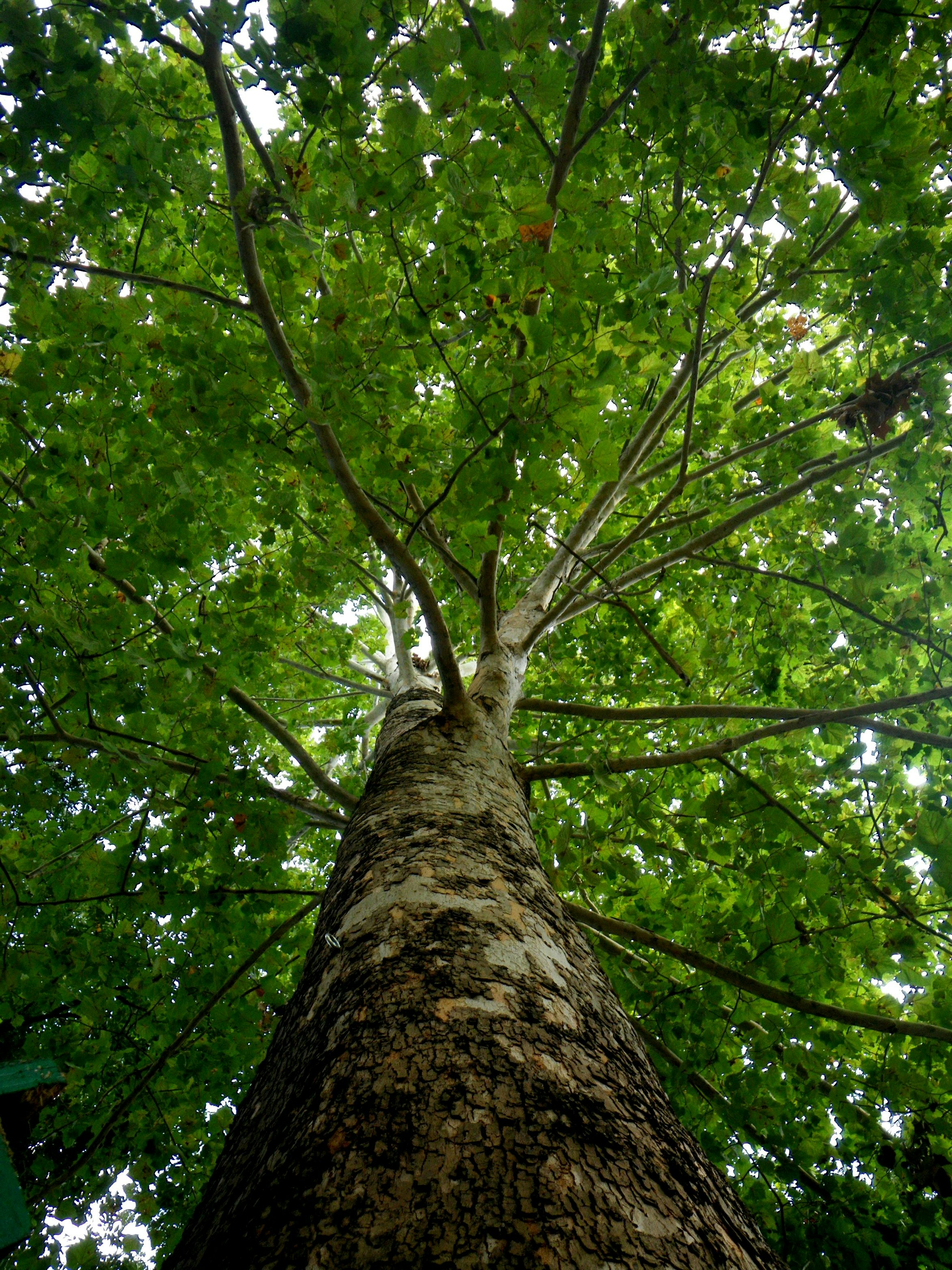 Free Unsplash photo from Richard Hale