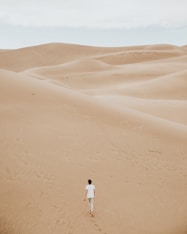person walking on sand dune