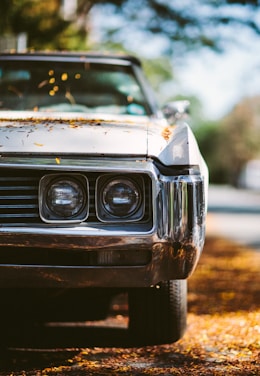 white car with leaves on hood