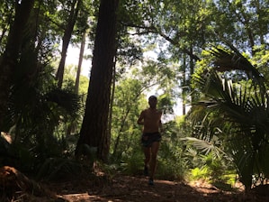 Runners passing through a sunlit forest trail surrounded by vibrant greenery.