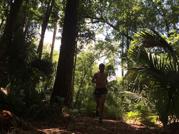 A scenic view of a trail runner navigating through a lush forest.