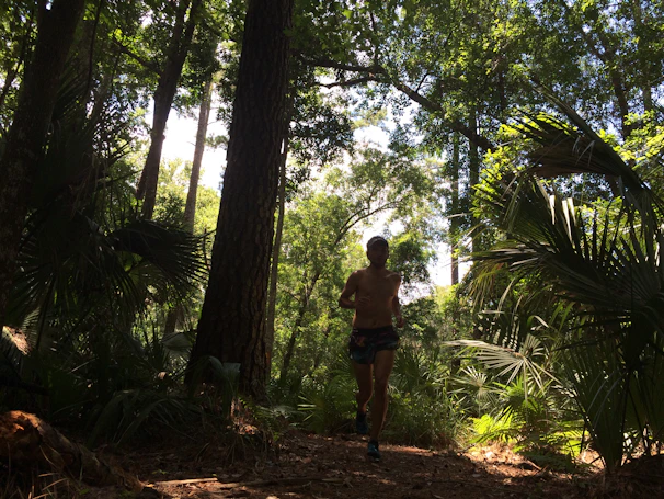 Diverse group of runners jogging through a lush forest trail at sunrise.