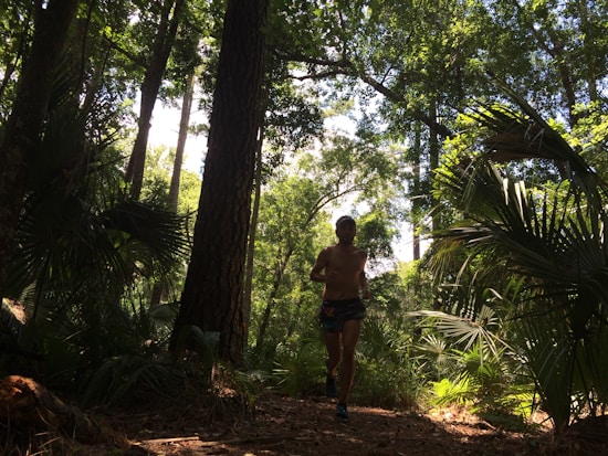 A person is running through a dense forest, surrounded by tall trees and lush green vegetation. Sunlight filters through the leaves, creating dappled light on the forest floor.