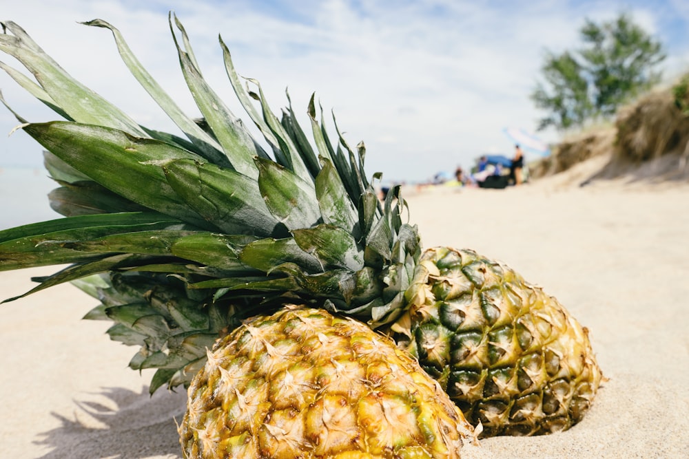 two pineapple fruits