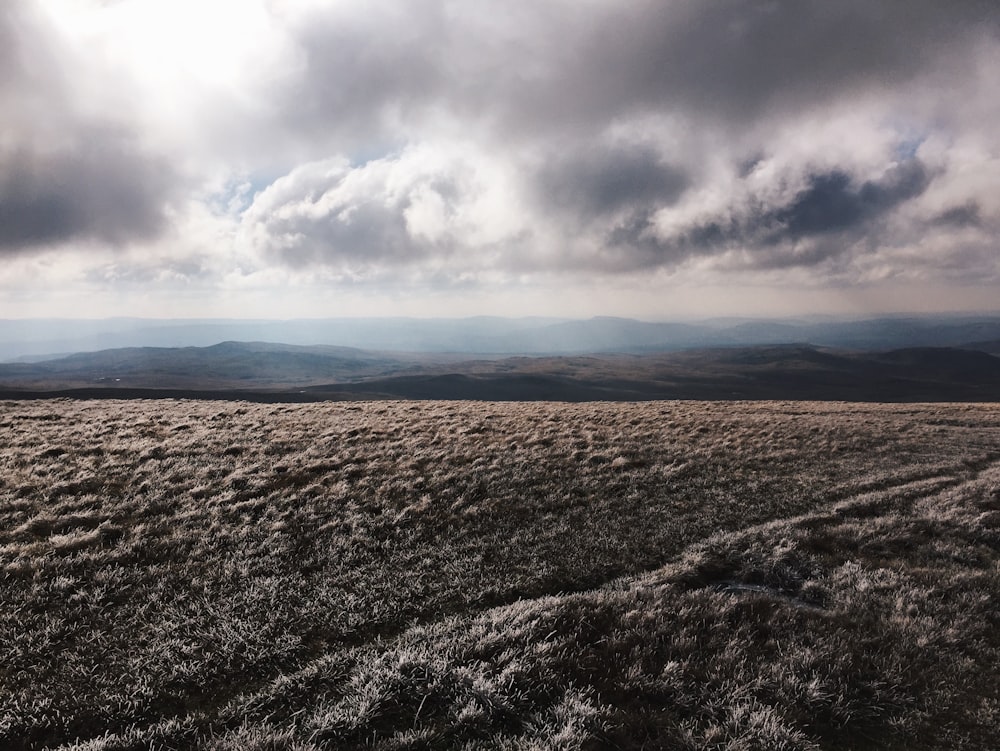 brown grass field near mountain under gray clouds