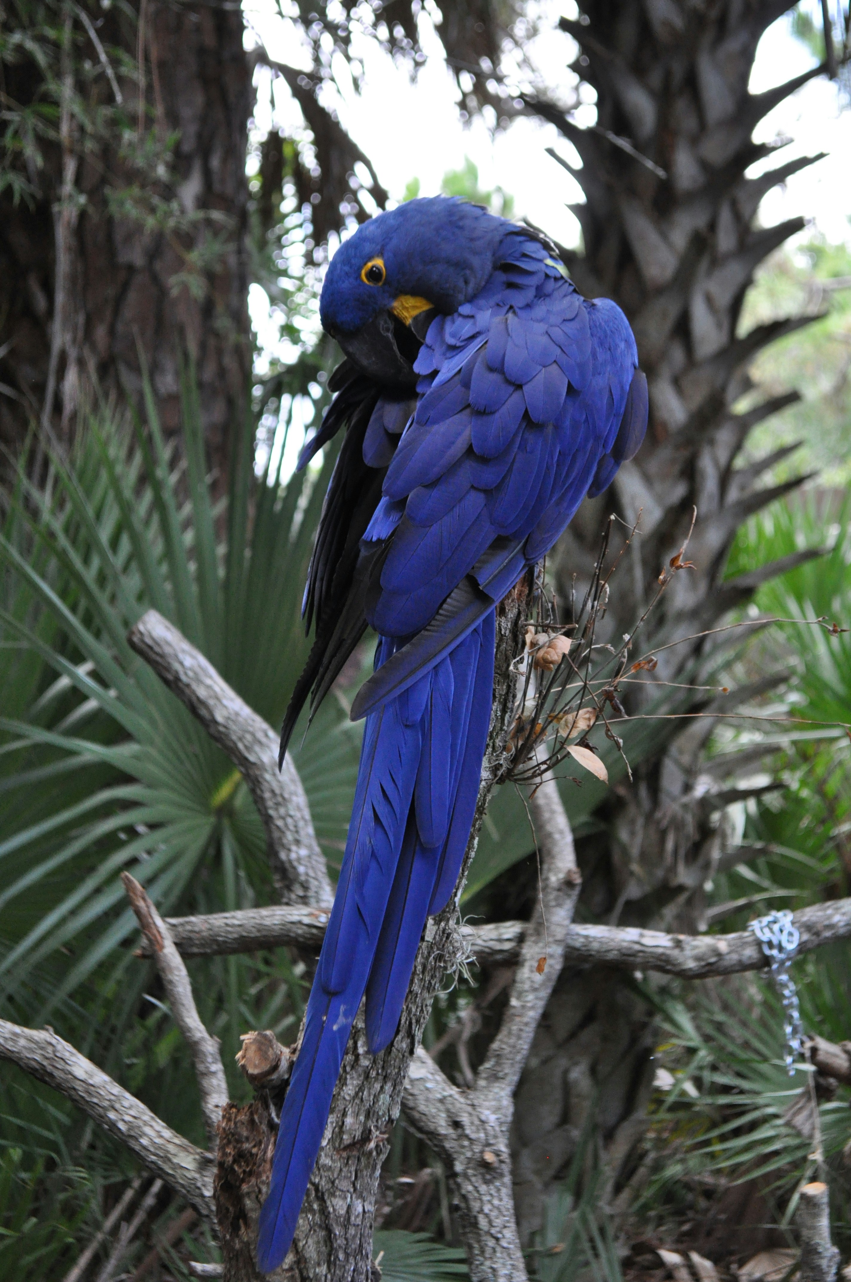 Free Unsplash photo from Melissa Kuehnle