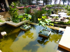 The image depicts a tranquil outdoor setting with a small pond containing potted water plants. A variety of lush greenery surrounds the area, including large-leaved plants and trees. In the background, there are round tables with white umbrellas, suggesting a garden cafe or relaxation area.