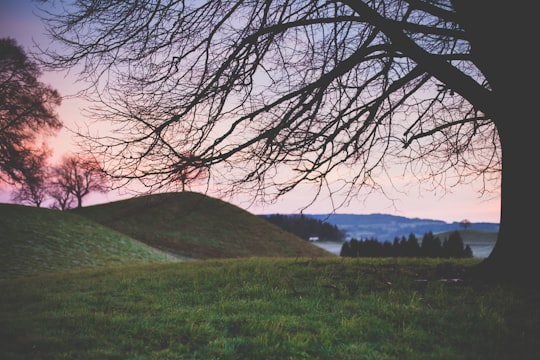 photo of Hirzel Hill near Arnisee