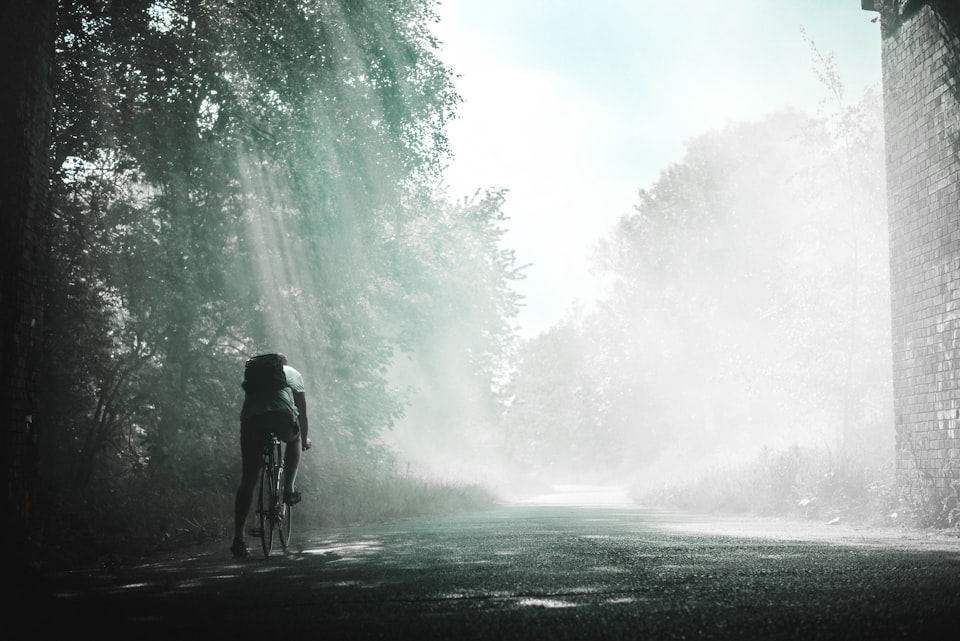 A cyclist riding on a foggy road