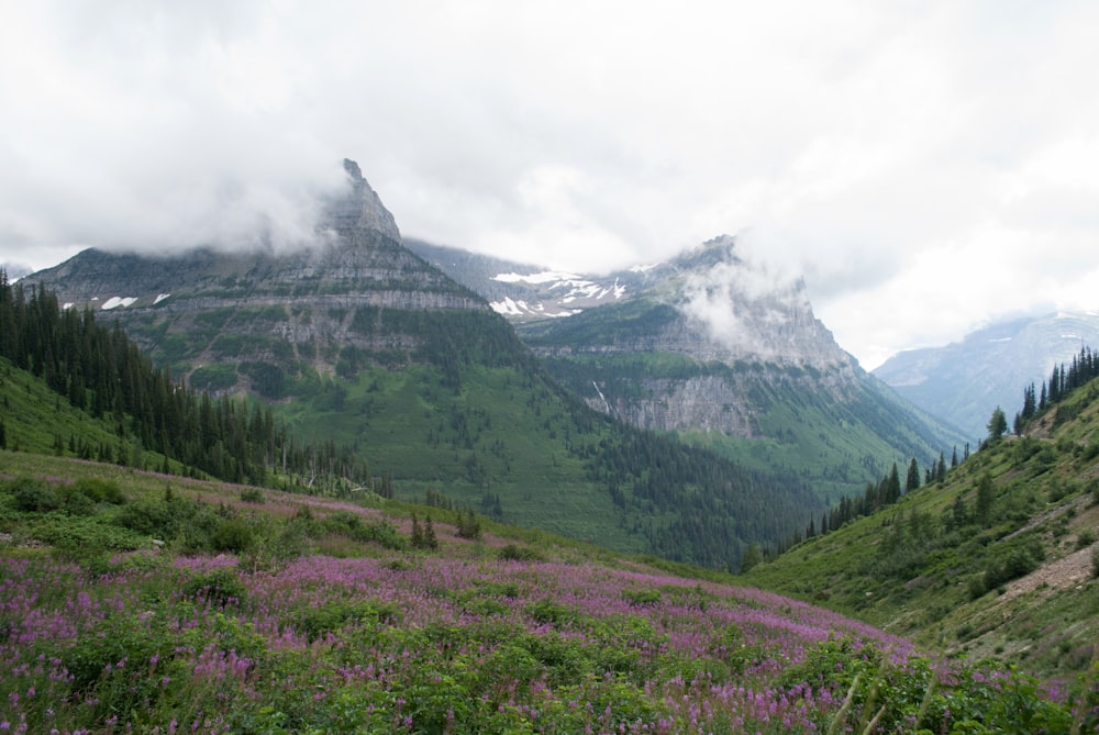 green grass field near mountain under white clouds during daytime