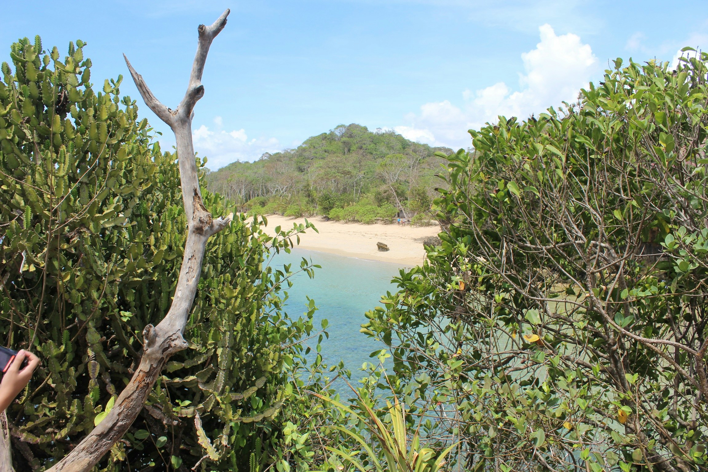 Free Unsplash photo from Yusuf Supriyatna