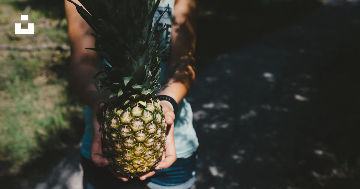 Foto Persona de pie en el pavimento gris que lleva fruta de piña ...