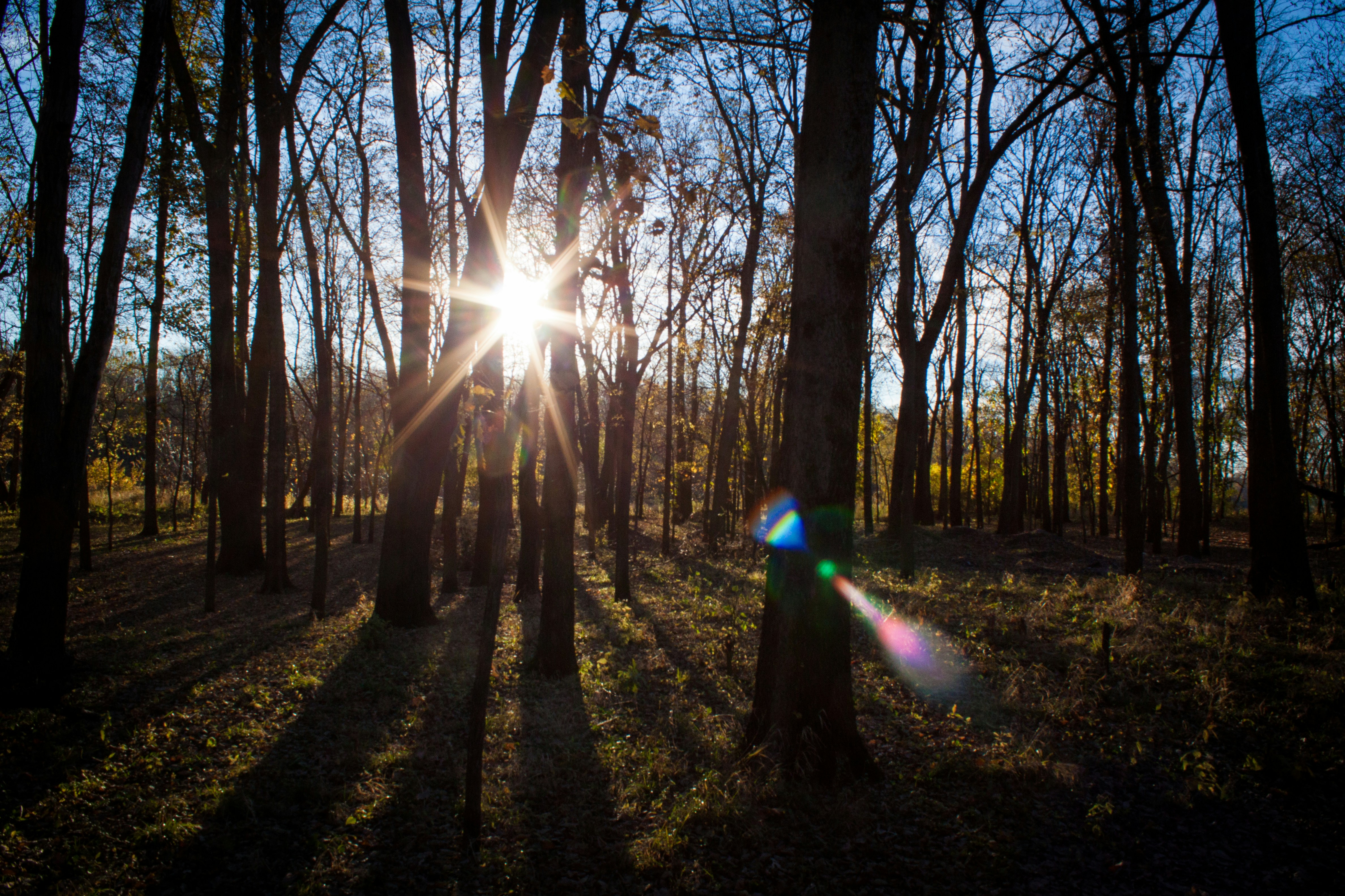 Free Unsplash photo from Brady Frieden