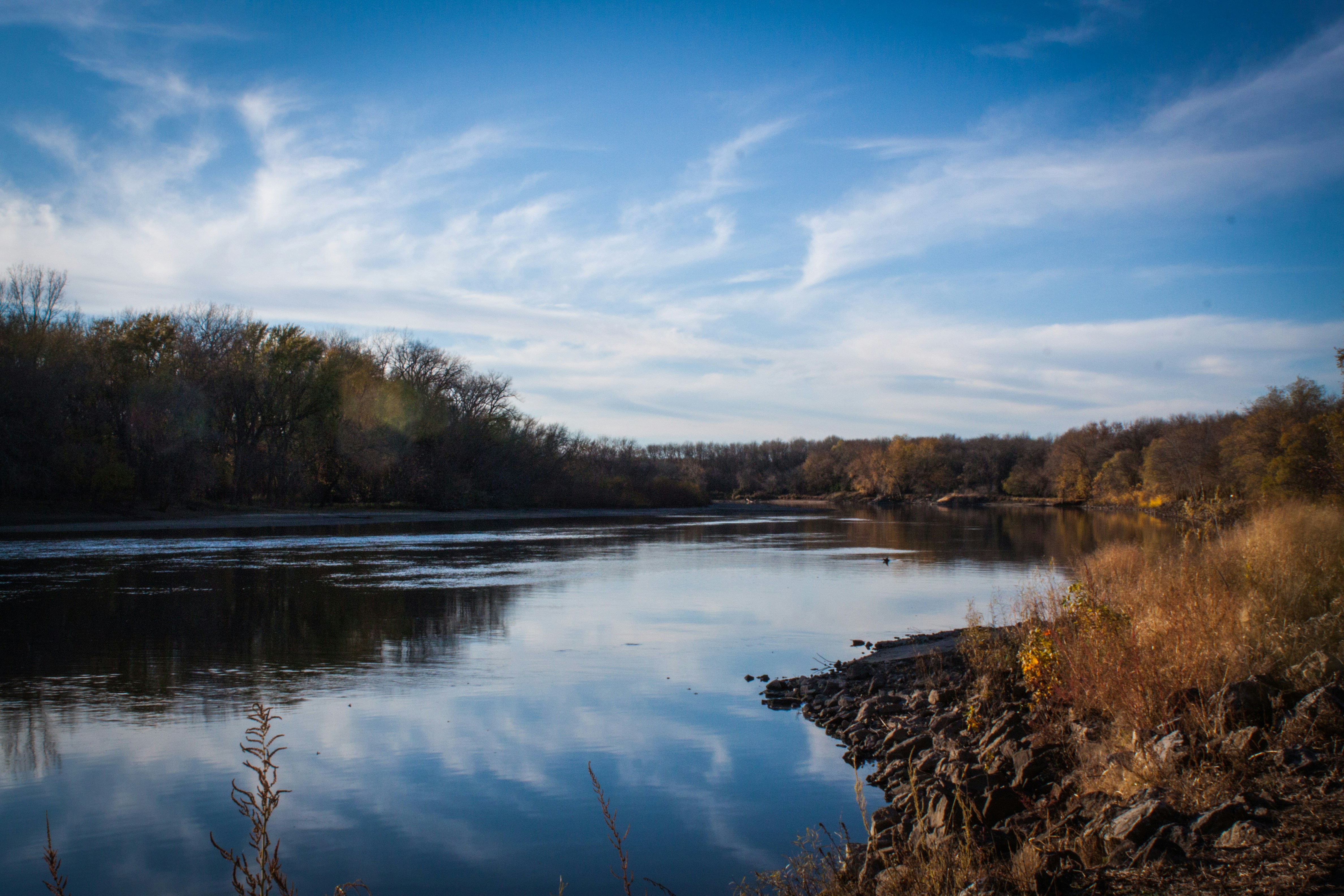 Free Unsplash photo from Brady Frieden