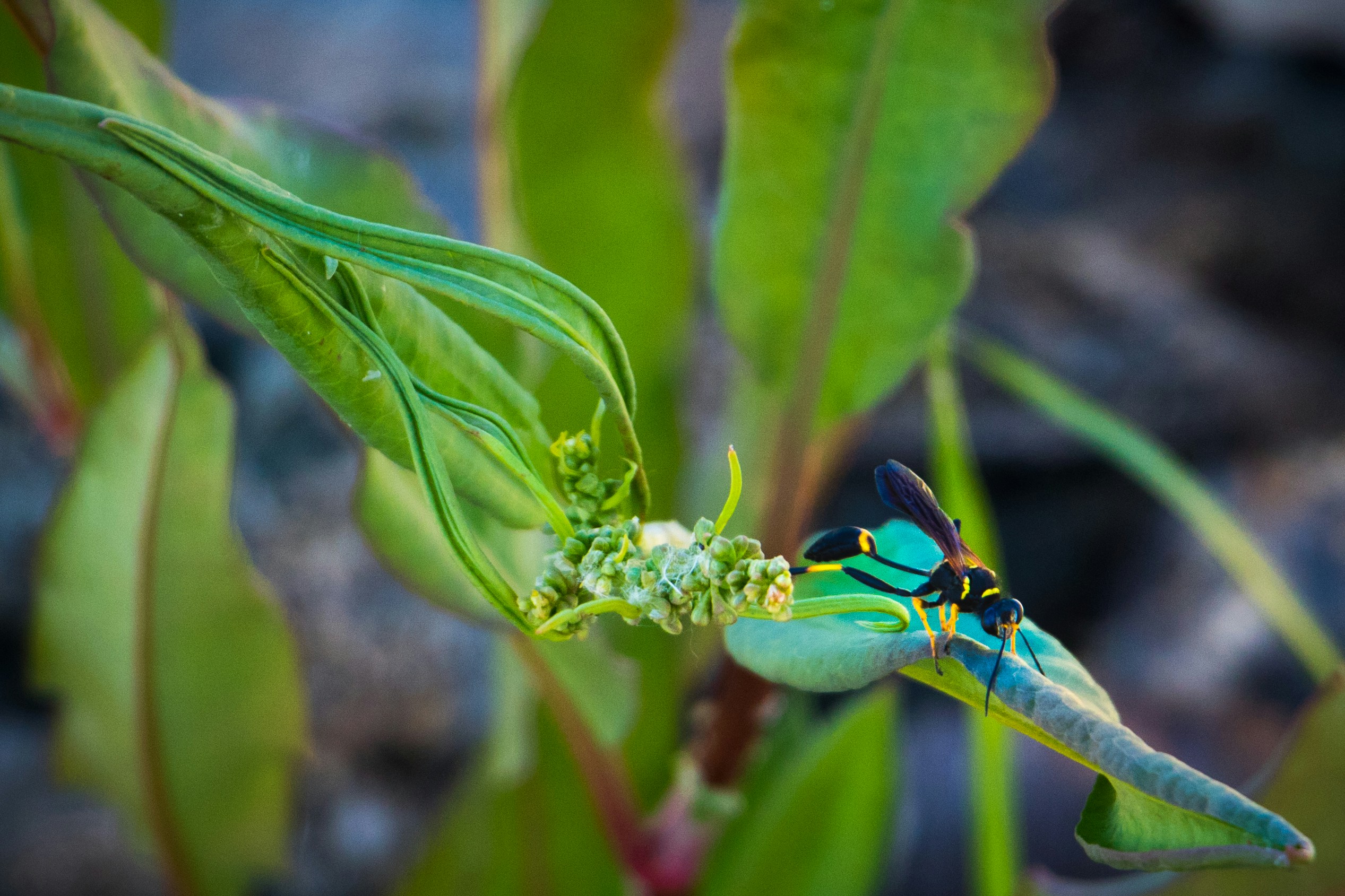 Free Unsplash photo from Brady Frieden