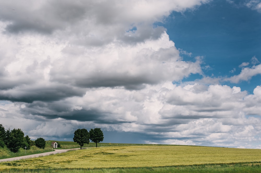 Champ d’herbe verte sous les nuages blancs pendant la journée