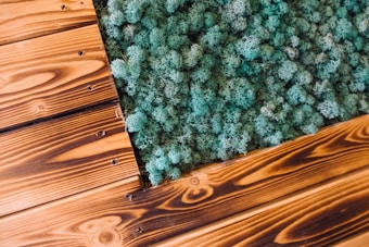 A section of wood flooring with a diagonal cutout filled with textured green moss. The wood features visible grain patterns and knots, displaying a warm, natural tone.