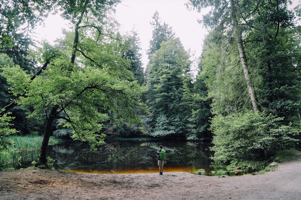 Person, die auf Klippe im Wald steht