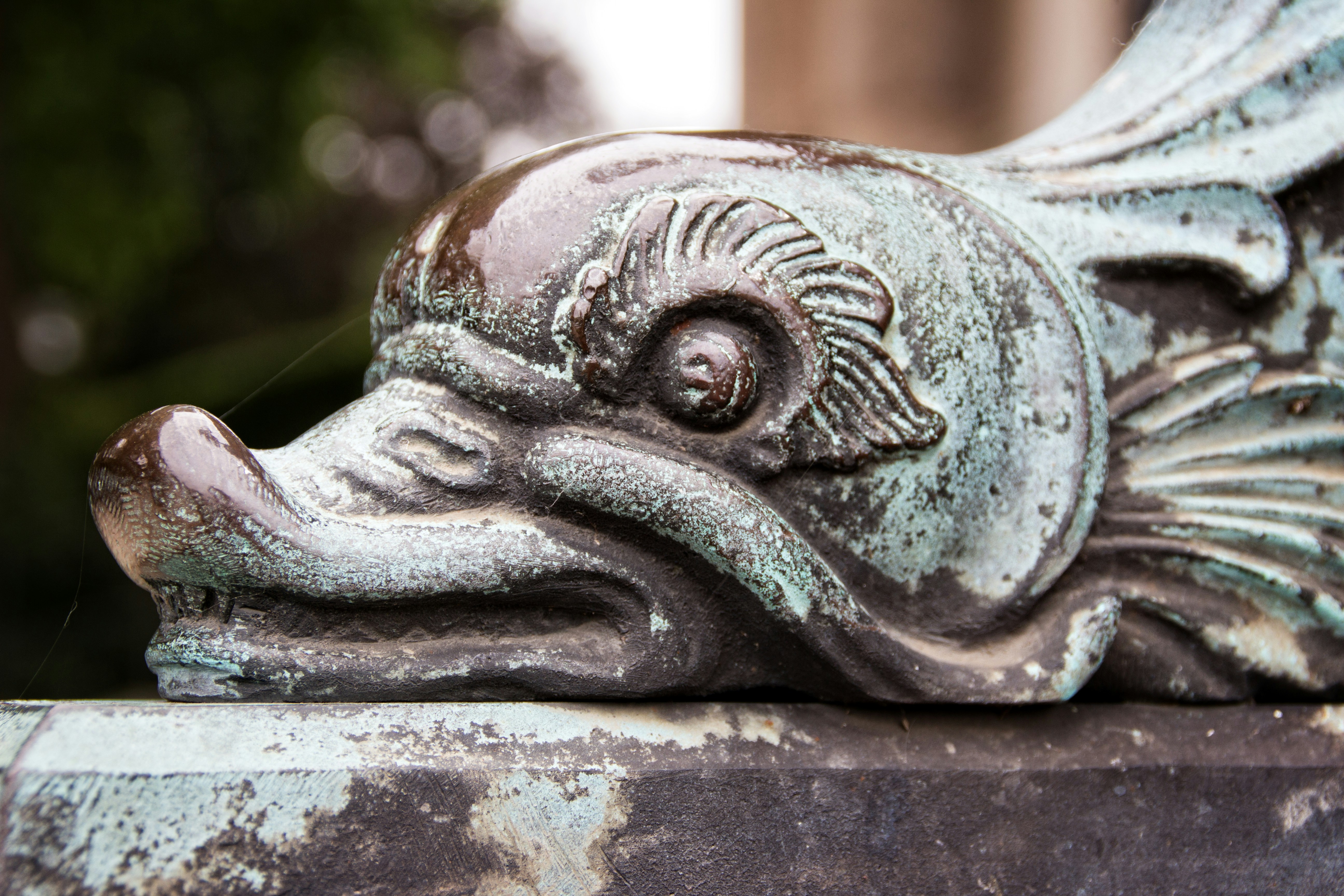 Free Unsplash photo from PDB