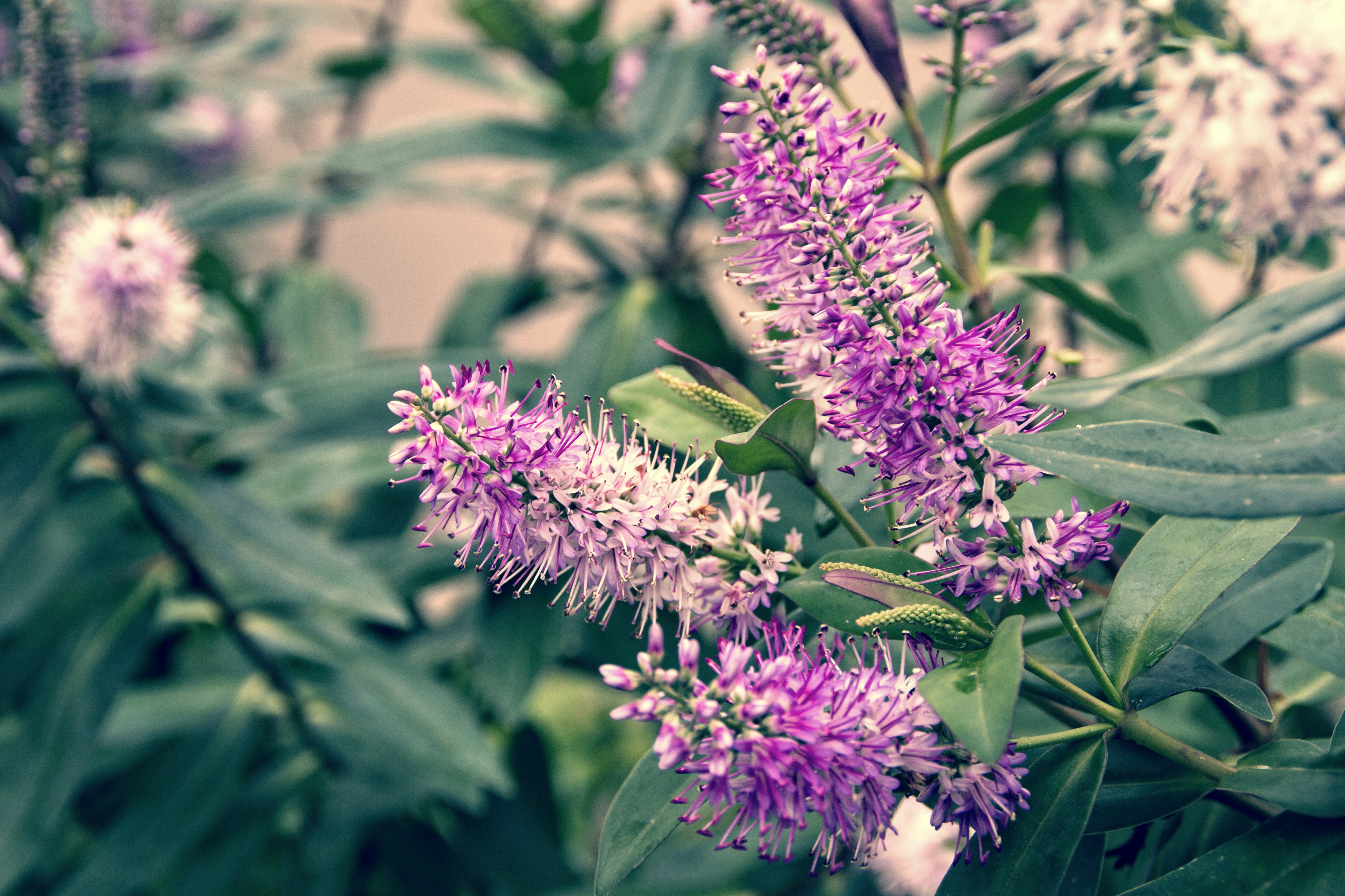 Free Unsplash photo from PDB