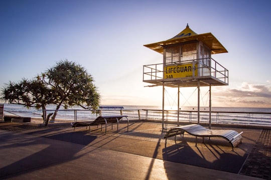 photo of Surfers Paradise Shore near Burleigh Head National Park