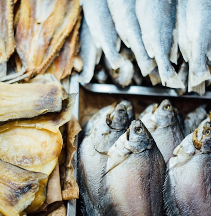 Amazonia river has an abundant of fishes.