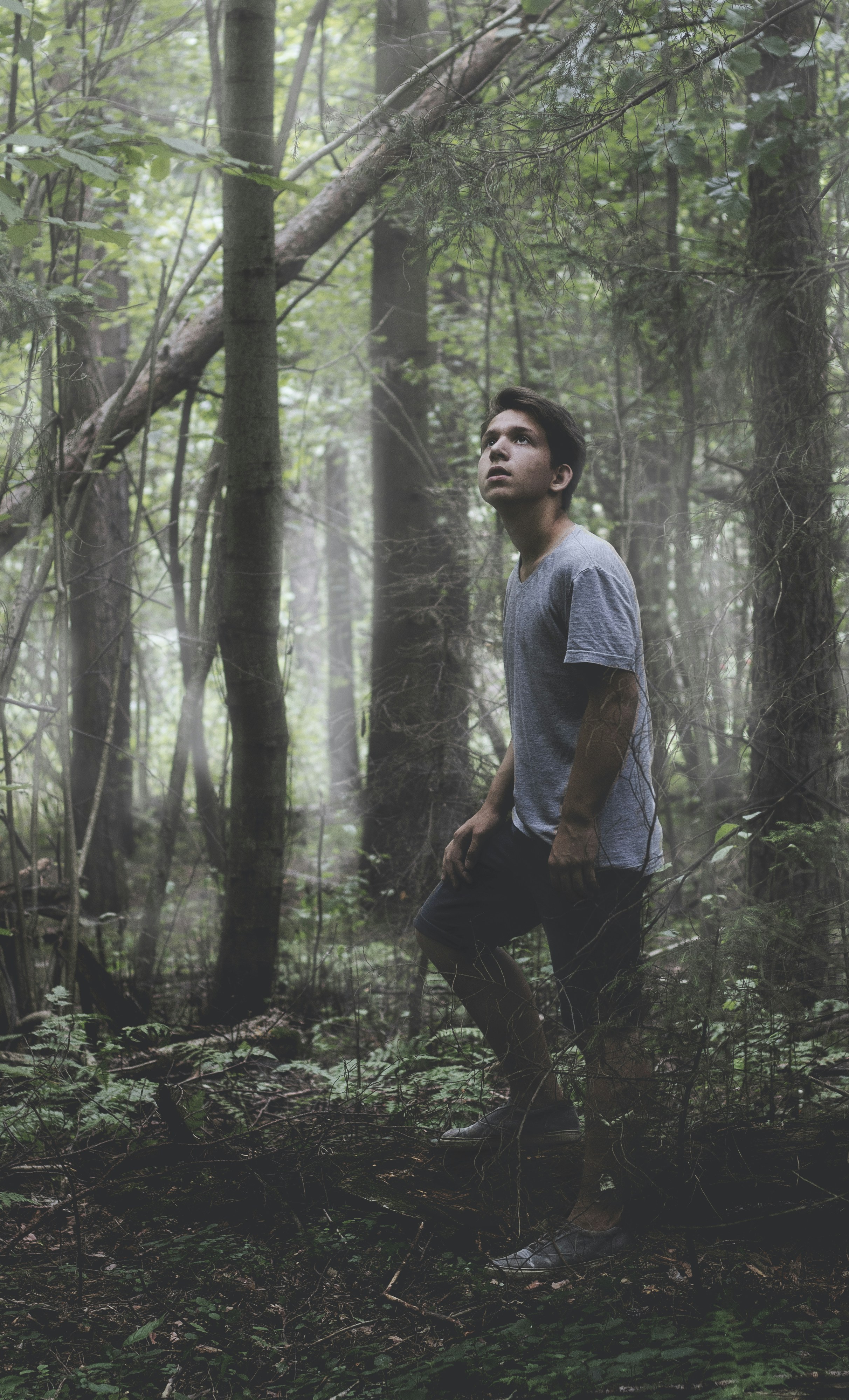 Free Unsplash photo from Andrey Dyakonov