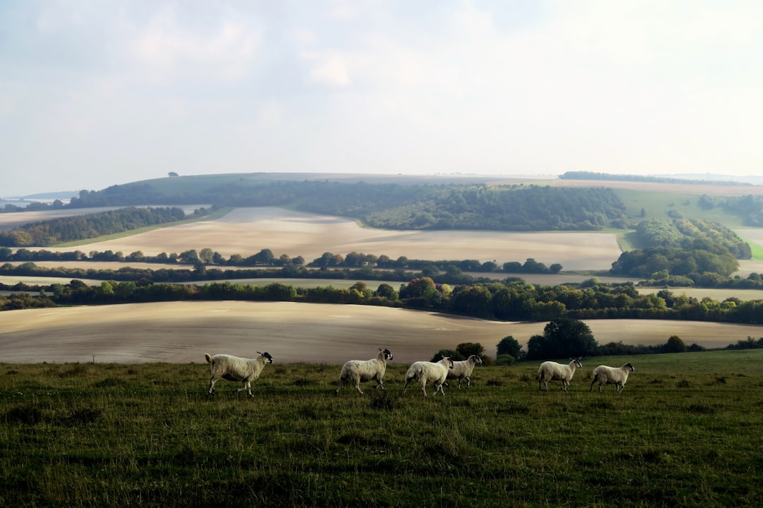 Plain photo spot Beacon Hill England