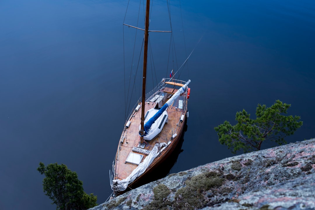 boat on body of water near tree