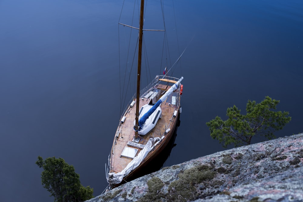 boat on body of water near tree