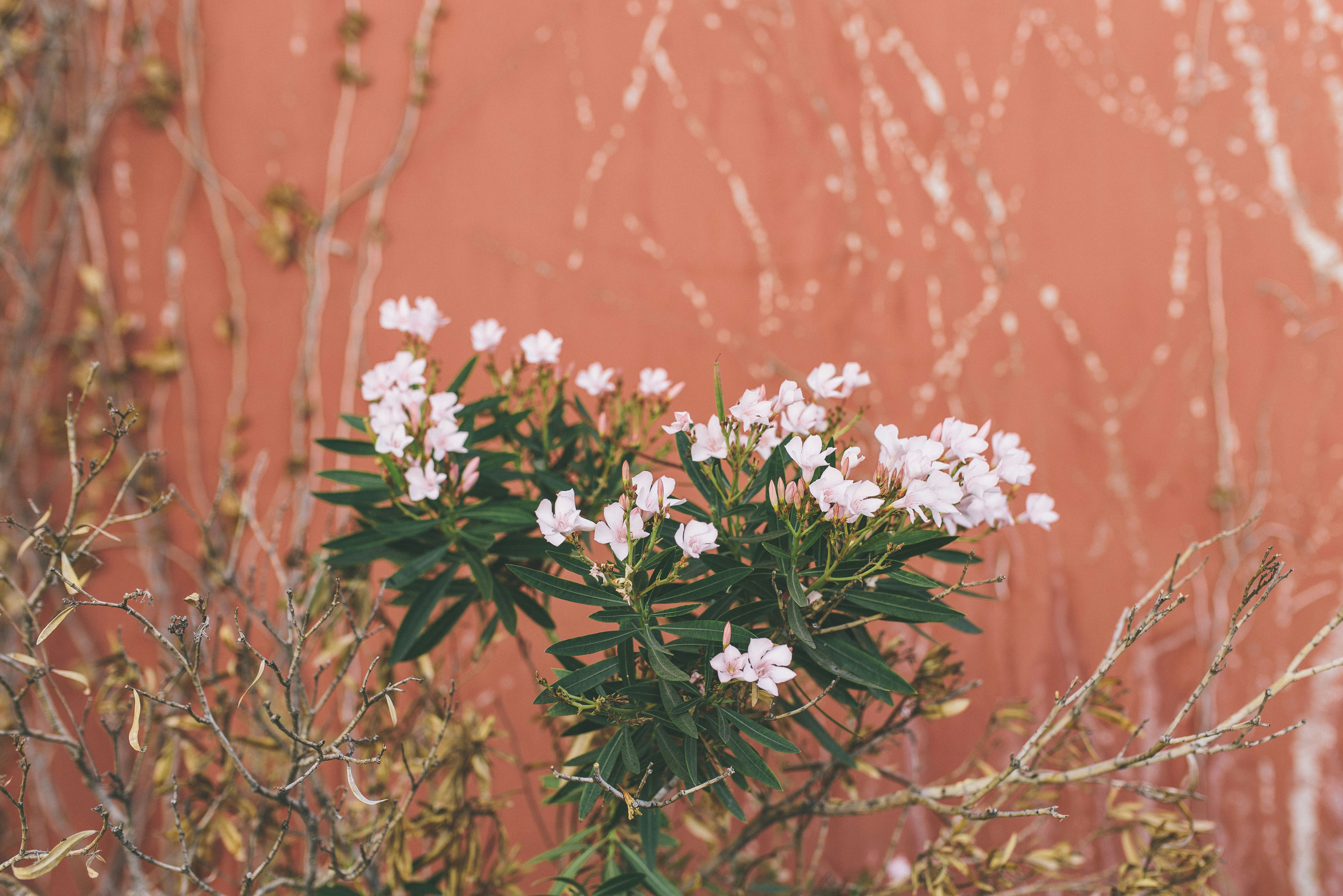 Free Unsplash photo from Tim Wright