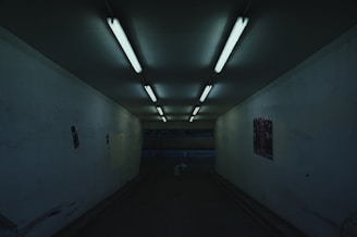 A dimly lit sewer tunnel with faint light filtering through, hinting at life below the city streets.