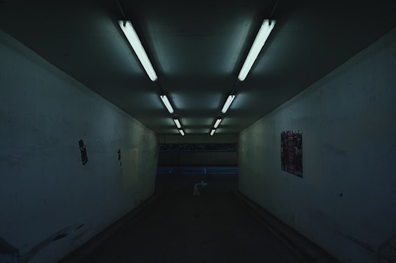 A dimly lit sewer tunnel with faint light filtering through, hinting at life below the city streets.