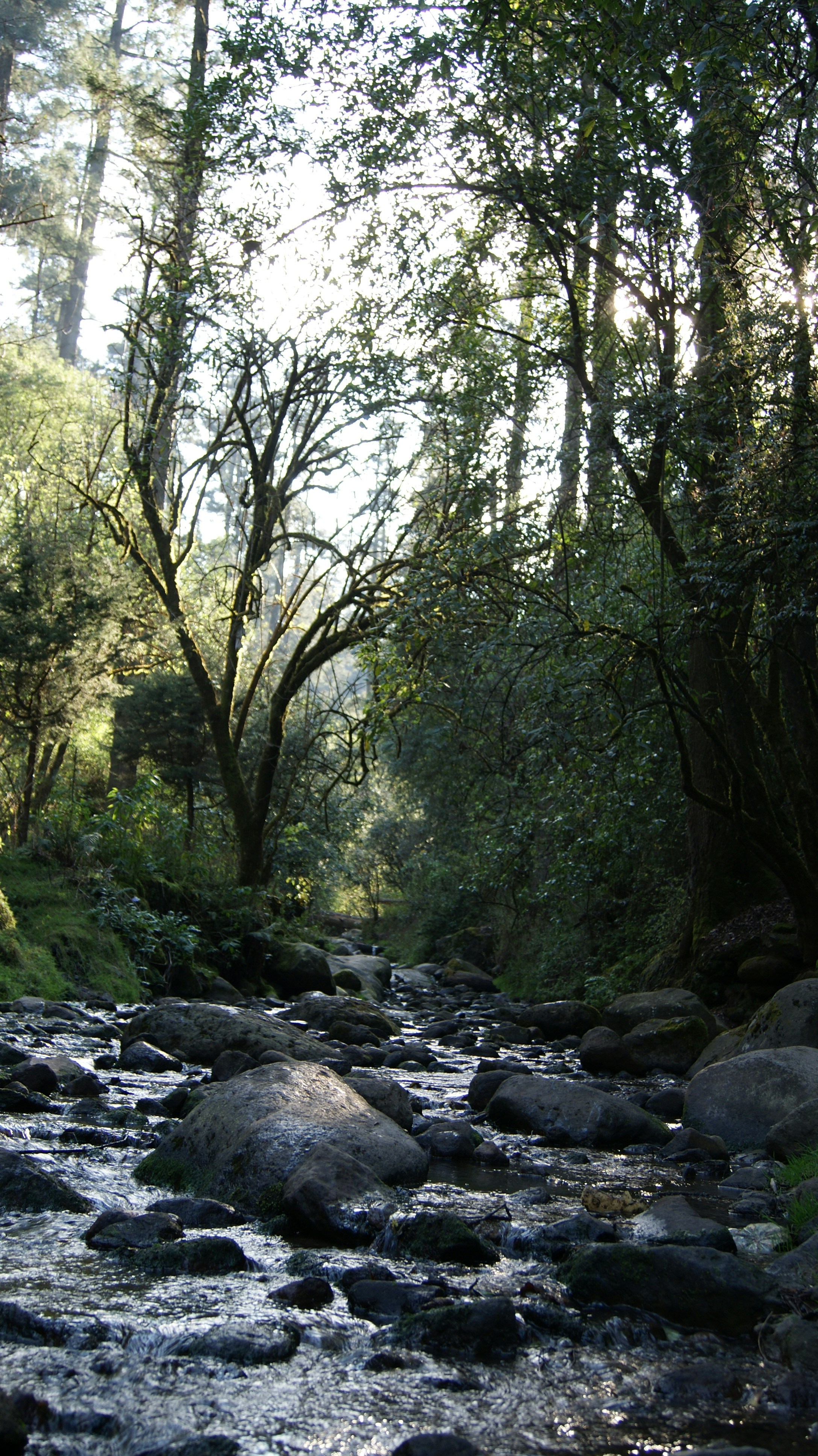 Free Unsplash photo from Jorge J.A.