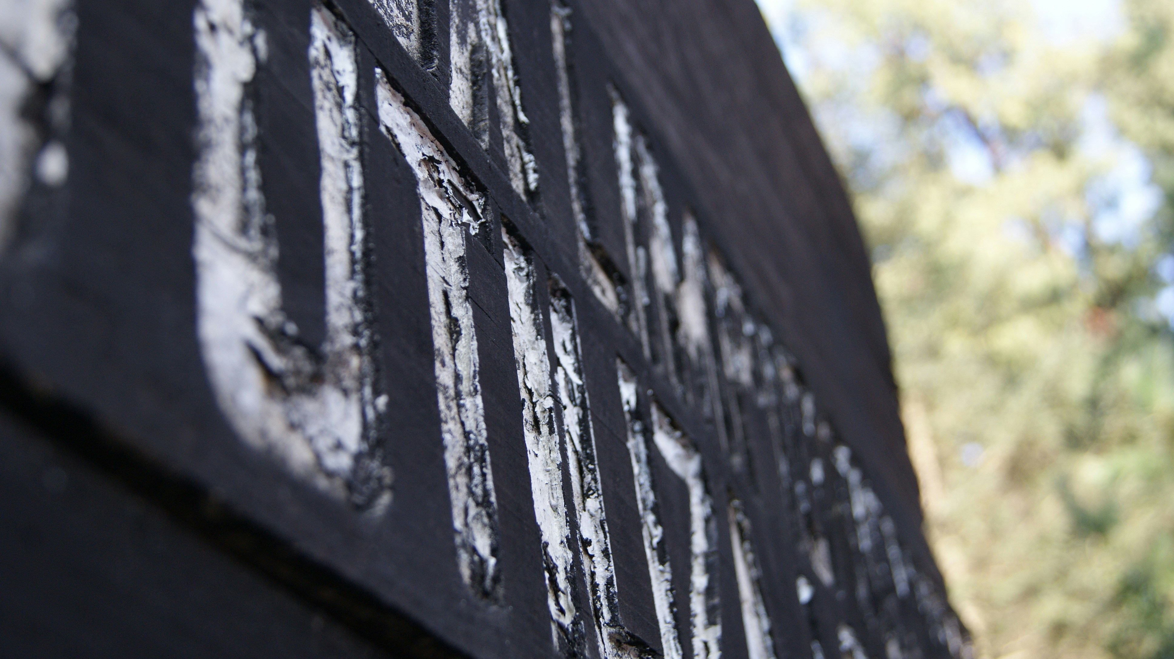 Free Unsplash photo from Jorge J.A.