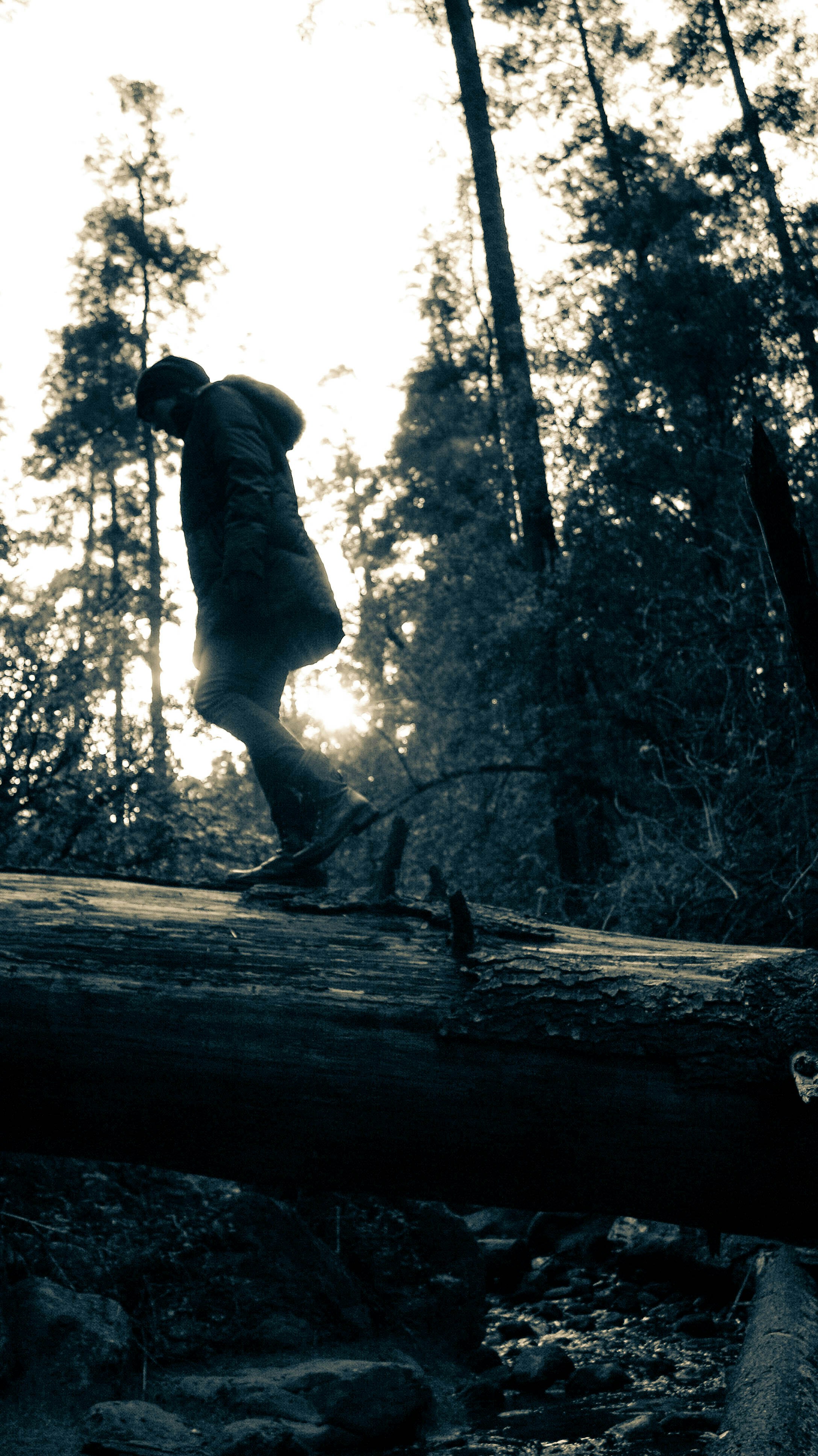 Free Unsplash photo from Jorge J.A.