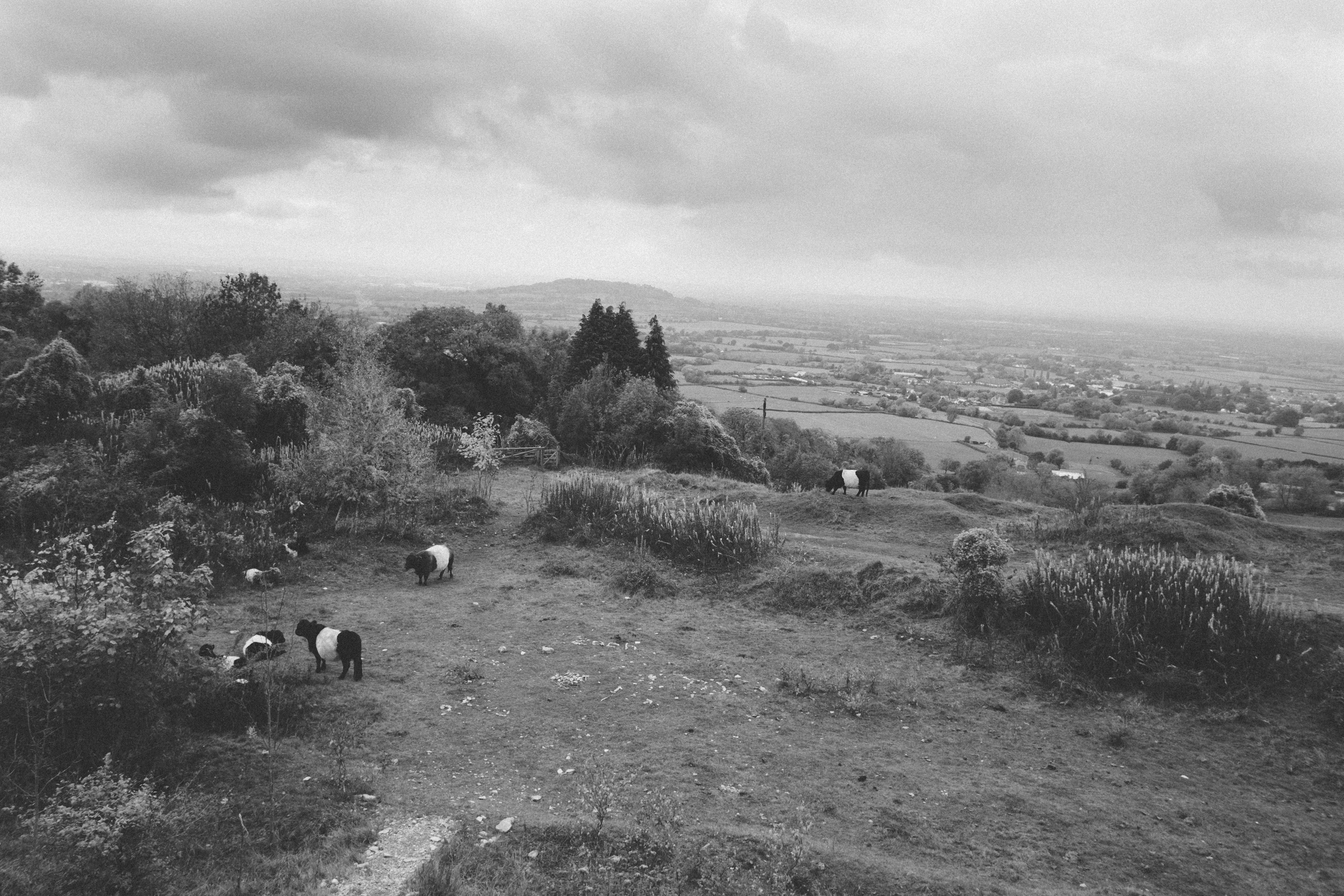 Free Unsplash photo from Steve Richardson