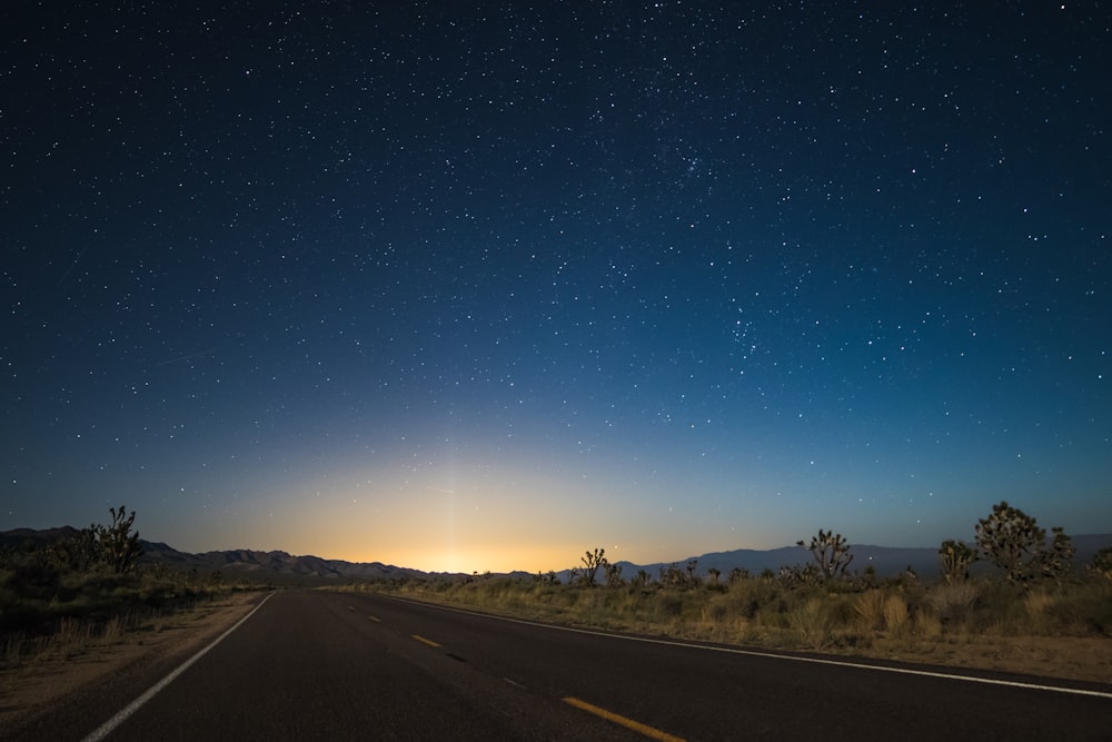 asphalt road in the middle of brown field