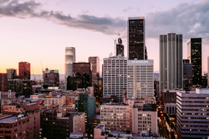 aerial photo of buildings during dusk